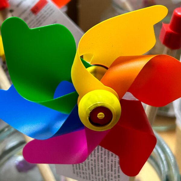 Toy-Fan